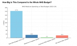 Where Does the NHS Medicines Budget Go? Inside the £19.9 Billion Spend in 2024