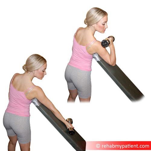 Biceps brachii exercises