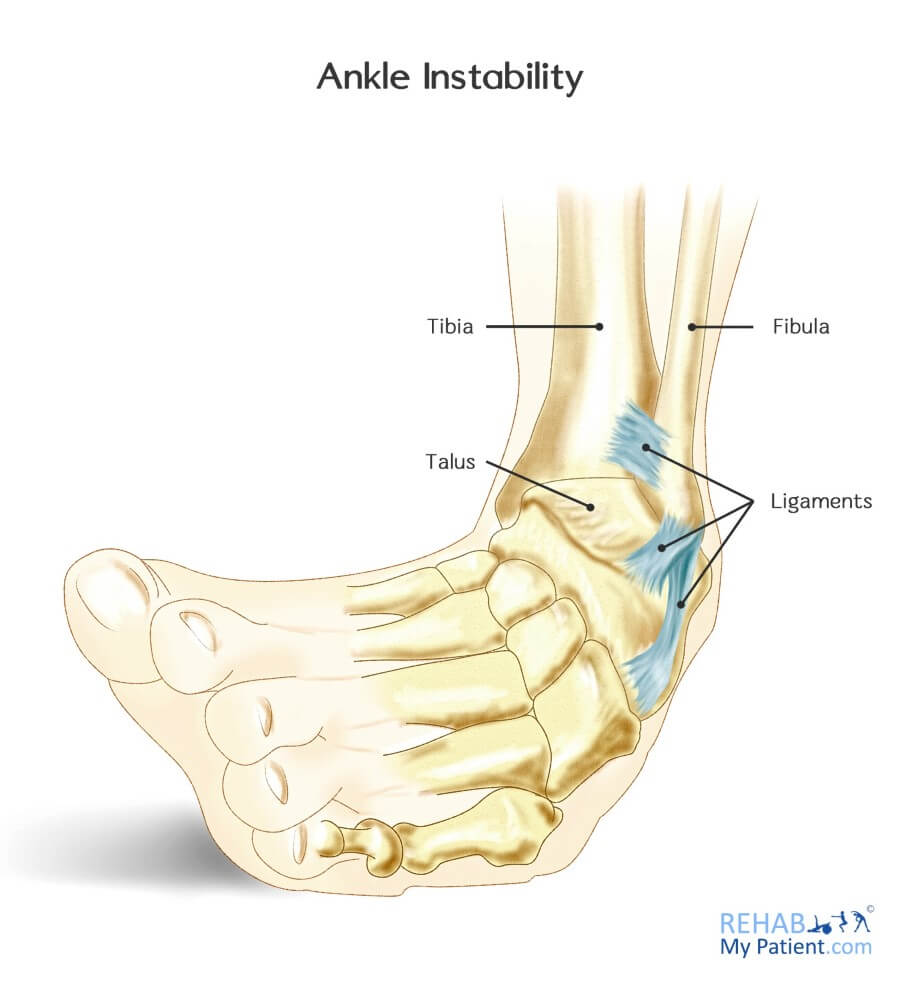 Ankle Instability Anatomy