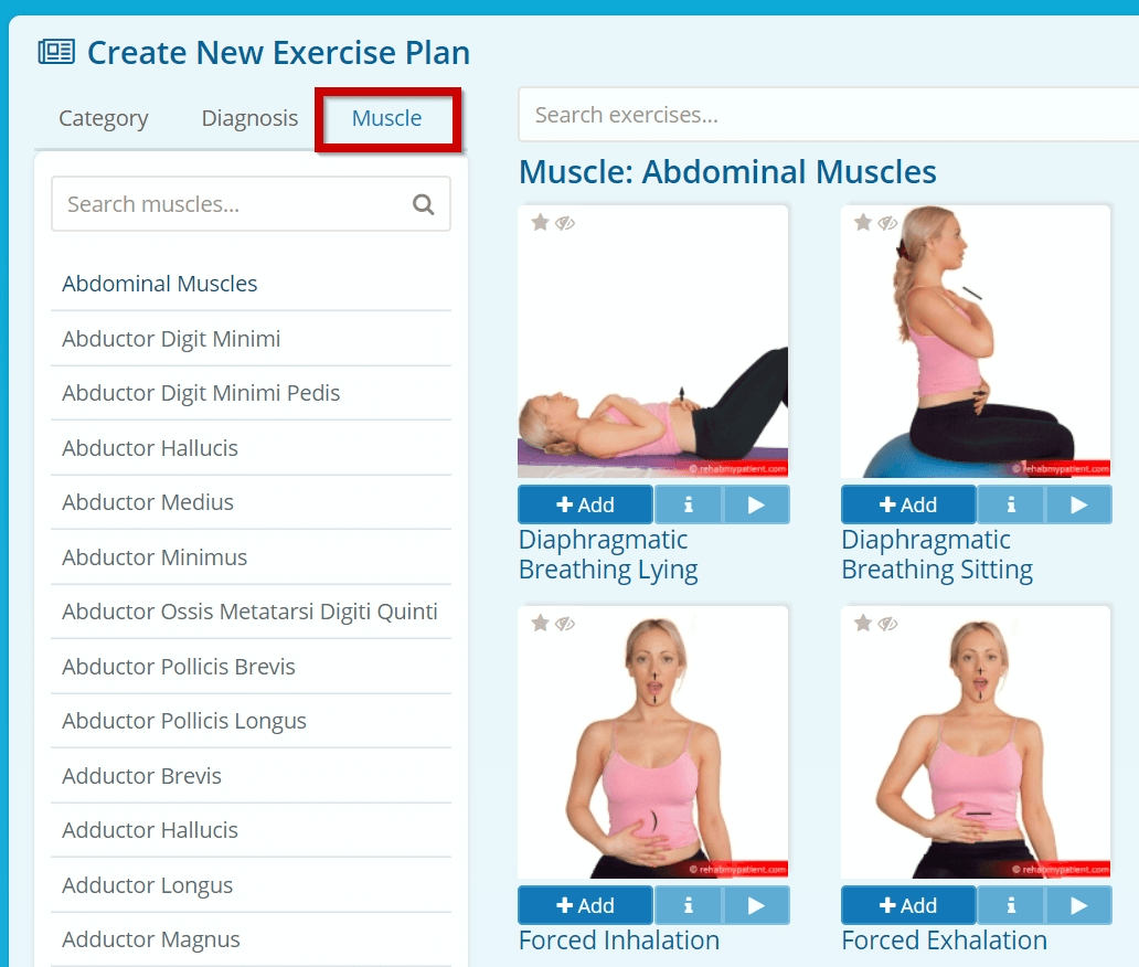 Exercise muscles